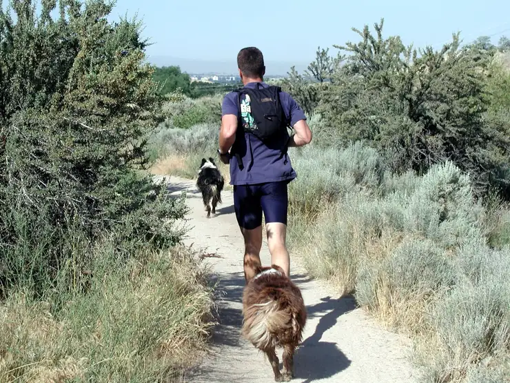 Runner with two dogs on a dirt path in the Boise foothills