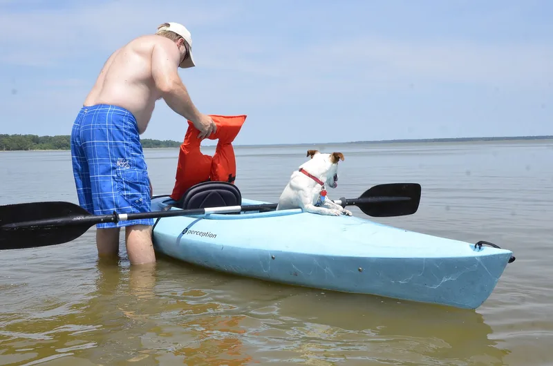 Man standing in shallow water beside a kayak carrying a white dog